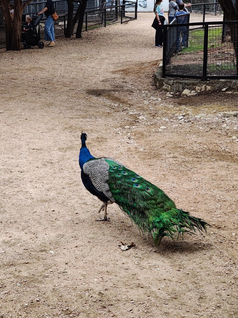 Austin Zoo
