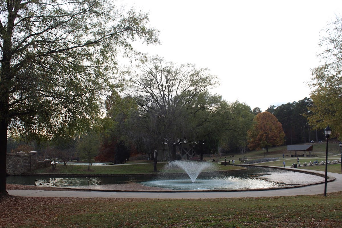 Freedom Park Lakeside